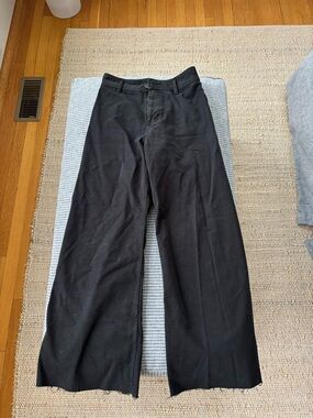Zara Black Pants
